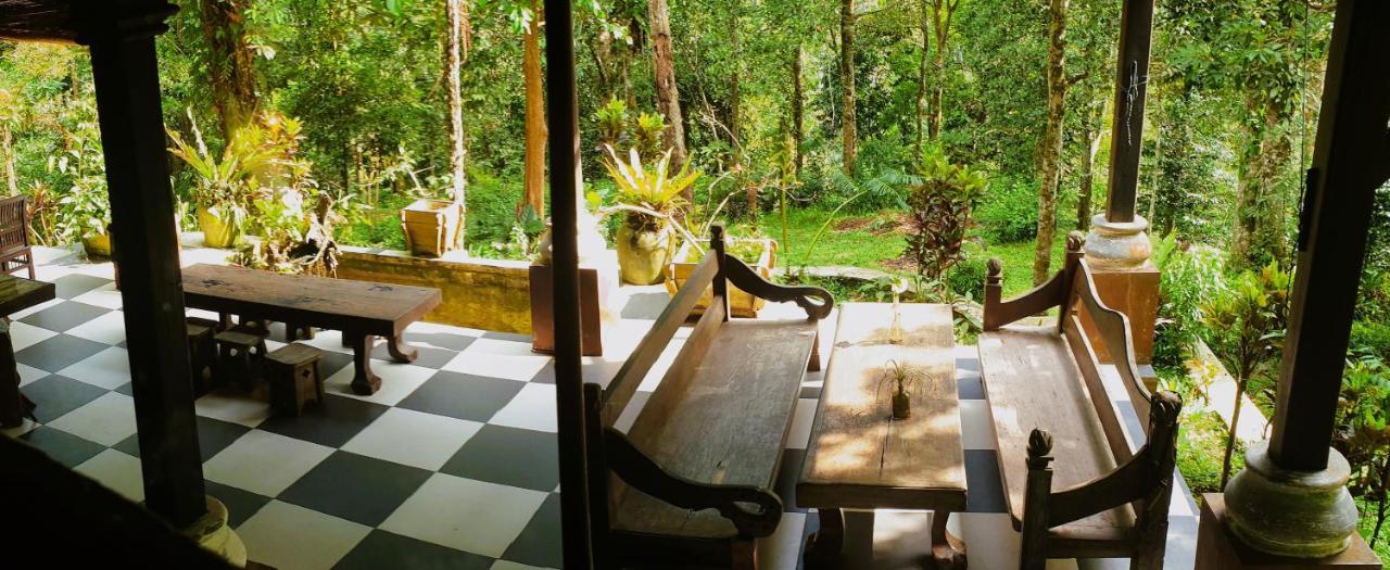 Happy Ria Homestay & Guesthouse Bukit Lawang Eksteriør billede