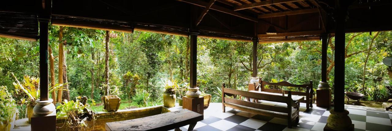 Happy Ria Homestay & Guesthouse Bukit Lawang Eksteriør billede