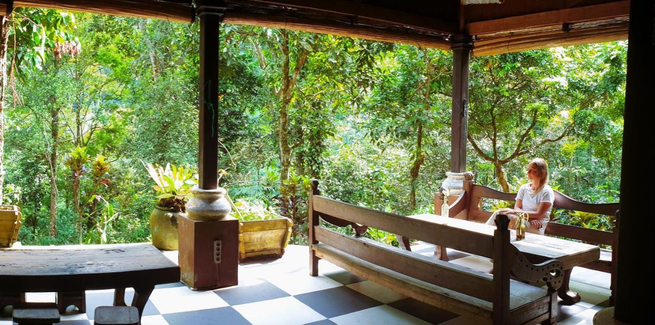 Happy Ria Homestay & Guesthouse Bukit Lawang Eksteriør billede