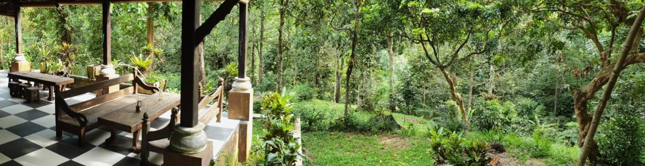 Happy Ria Homestay & Guesthouse Bukit Lawang Eksteriør billede