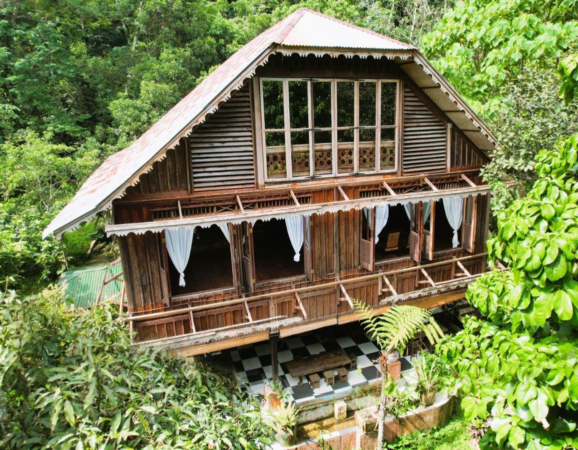 Happy Ria Homestay & Guesthouse Bukit Lawang Eksteriør billede