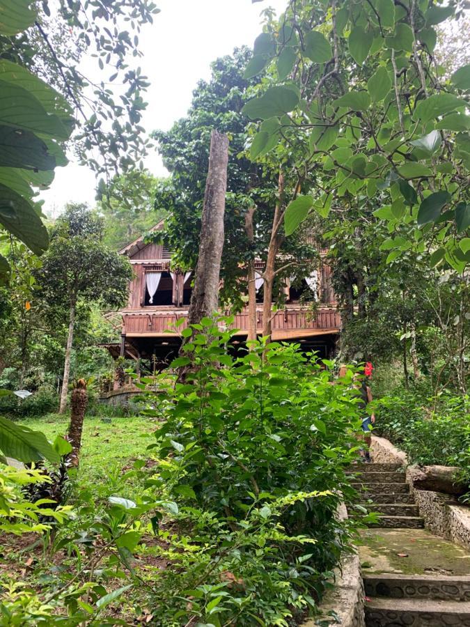 Happy Ria Homestay & Guesthouse Bukit Lawang Eksteriør billede